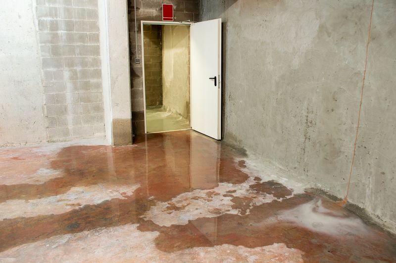 Basement Seepage Repair in Fort Wayne, IN